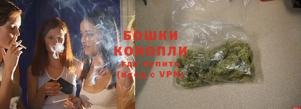 молекула духа Белокуриха