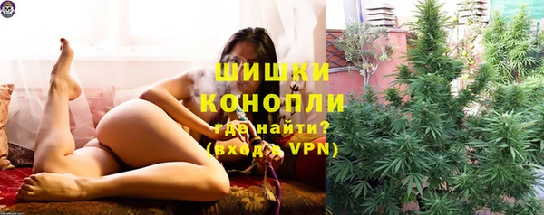 молекула духа Белокуриха