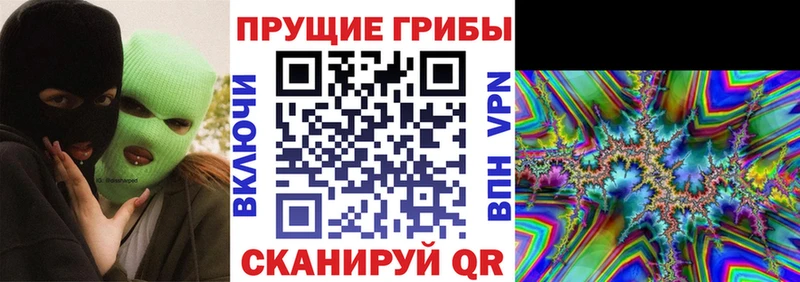 Псилоцибиновые грибы мухоморы  omg вход  Красный Холм 
